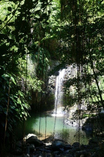 20201020 220 Dragon Bay Wanderung Anandale Falls