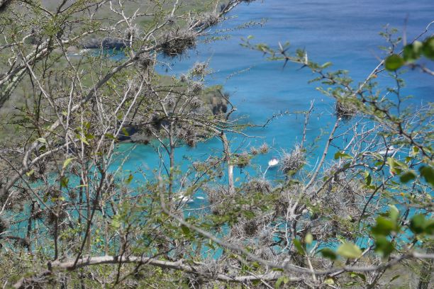 20210719 12580 Curacao Playa Santa Cruz Wanderung nach Lagun